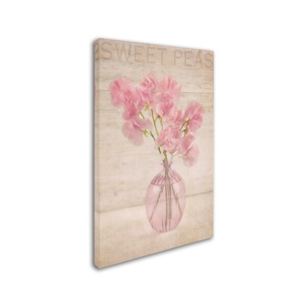 Cora Niele 'Pink Sweet Peas' Canvas Art,16x24